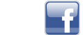 Facebook Digital Safety Net
