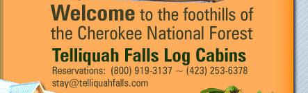 Welcome to the foothills of the Cherokee National Forest